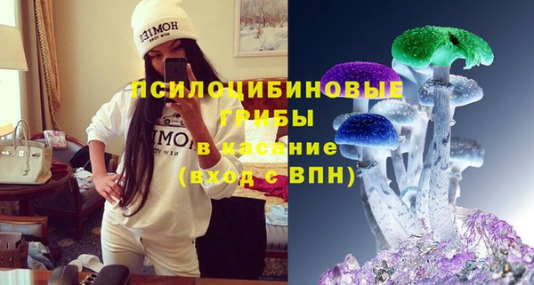 винт Гусь-Хрустальный