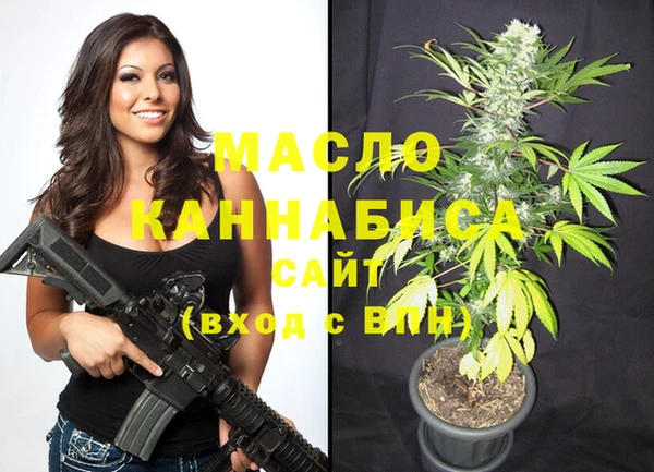 винт Гусь-Хрустальный